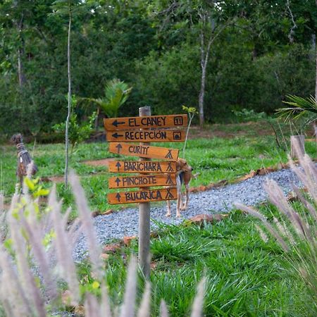 Hotel Nativo Glamping Barichara Zewnętrze zdjęcie