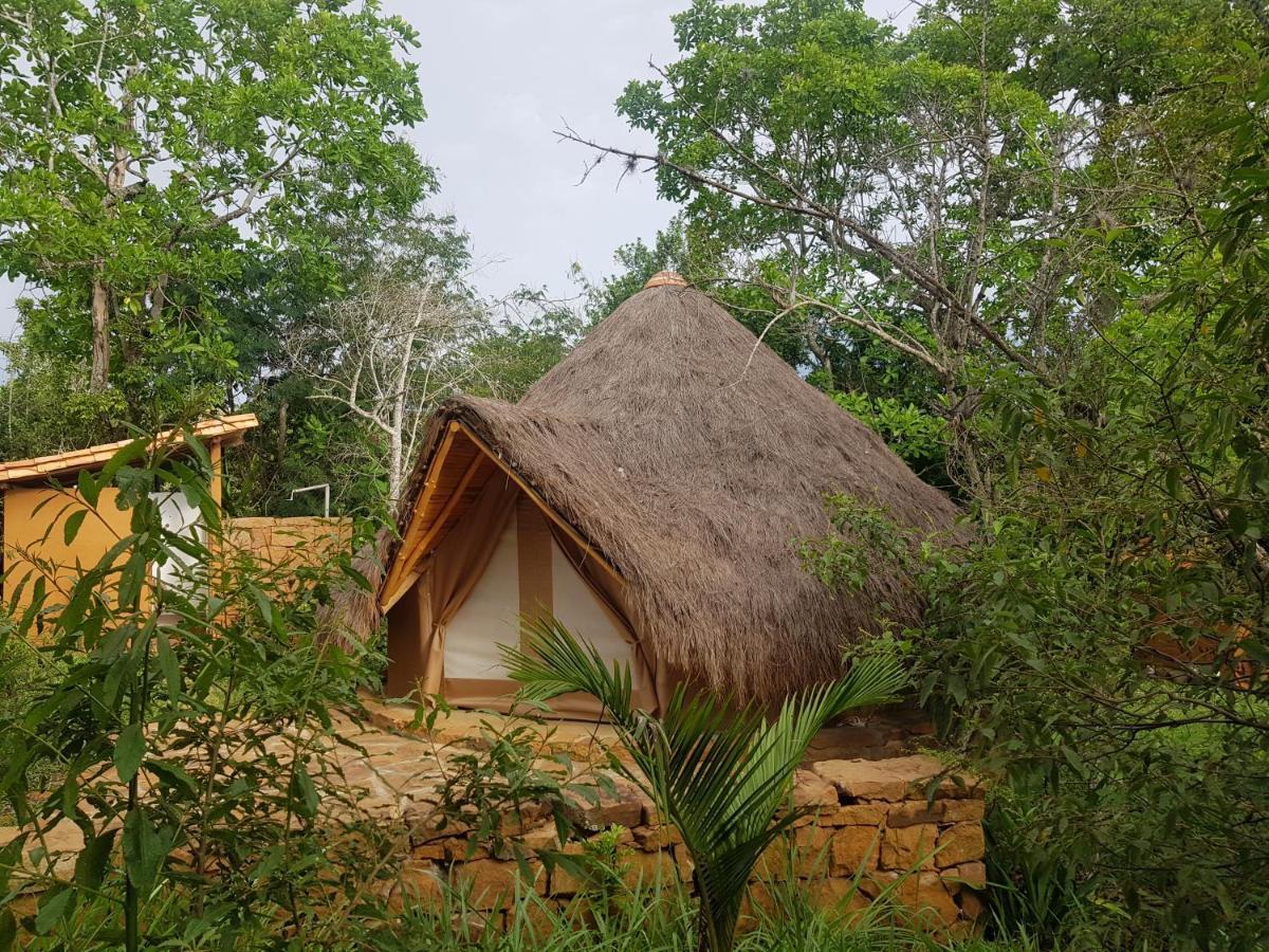 Hotel Nativo Glamping Barichara Zewnętrze zdjęcie