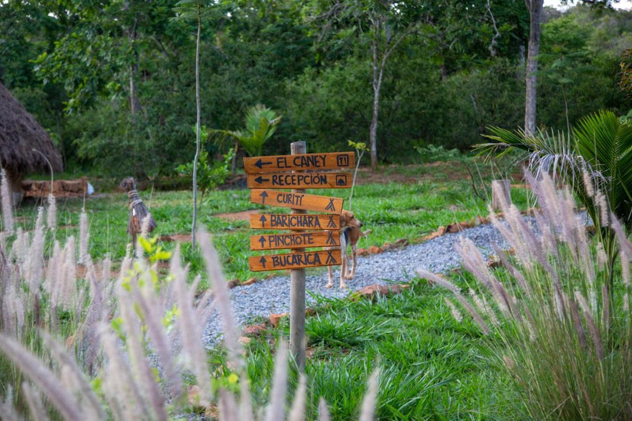 Hotel Nativo Glamping Barichara Zewnętrze zdjęcie