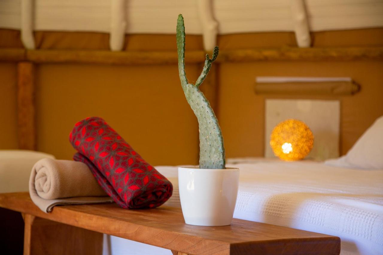 Hotel Nativo Glamping Barichara Zewnętrze zdjęcie
