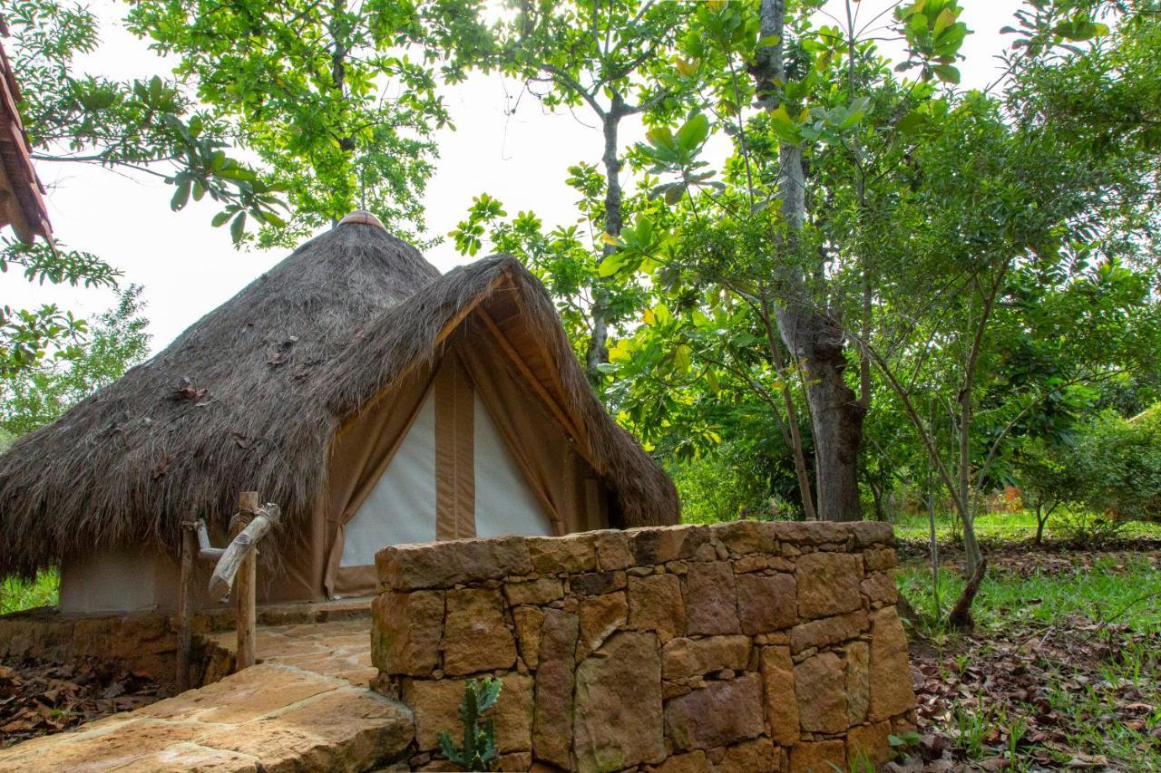Hotel Nativo Glamping Barichara Zewnętrze zdjęcie