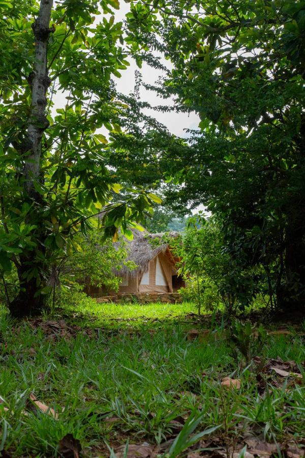 Hotel Nativo Glamping Barichara Zewnętrze zdjęcie