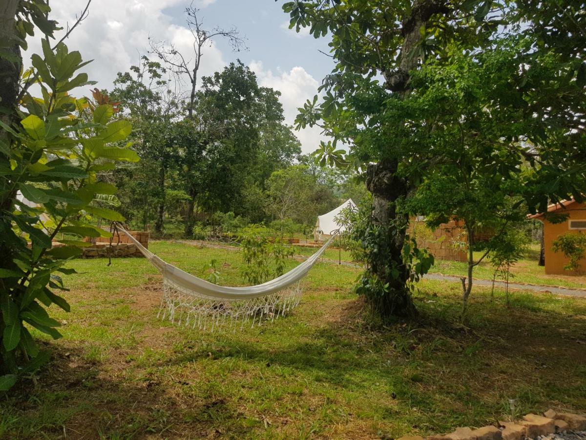 Hotel Nativo Glamping Barichara Zewnętrze zdjęcie
