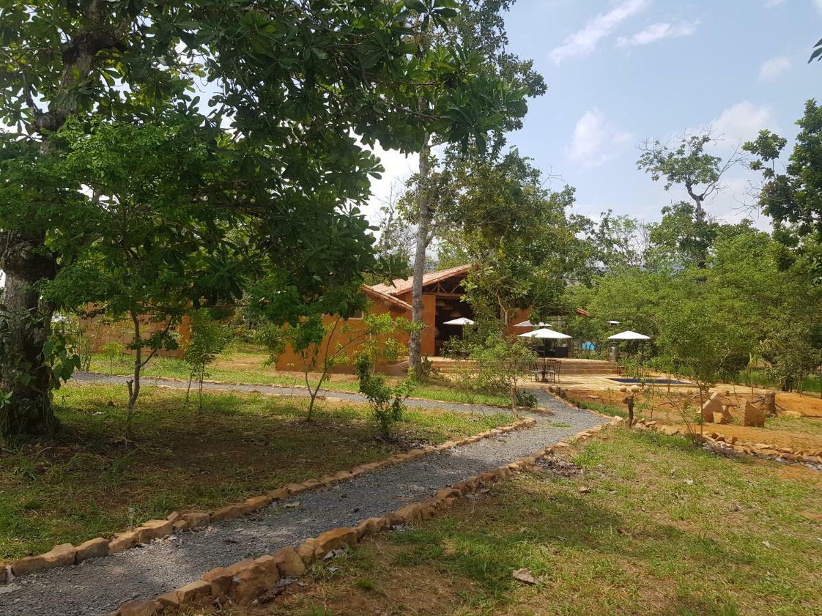 Hotel Nativo Glamping Barichara Zewnętrze zdjęcie